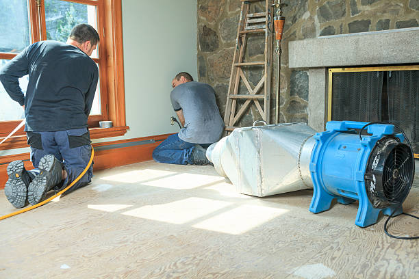 Do You Need a Whole-Home Dehumidifier in Fayetteville's Humidity?